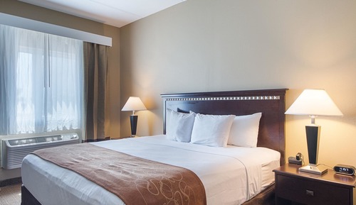 Business Suite, 1 King Bed with Sofa bed, Non Smoking