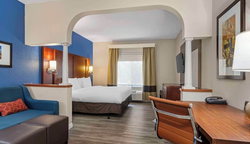 Suite, 1 King Bed with Sofa bed, Accessible, Non Smoking