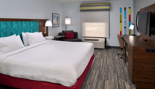 Room, 1 King Bed, Accessible, Non Smoking (Roll-In Shower)