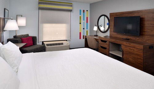 Room, 1 King Bed, Non Smoking (Shower)