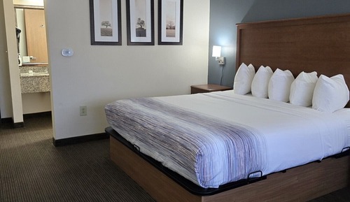Executive Room, 1 King Bed, Non Smoking