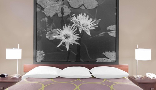 Room, 1 King Bed