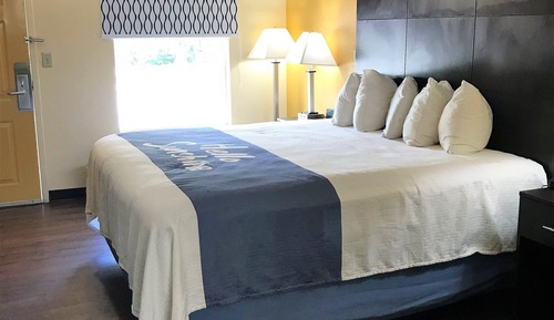 Room, 1 King Bed, Non Smoking