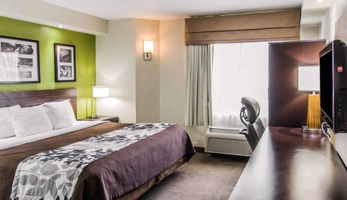 Standard Room, 1 King Bed, Non Smoking