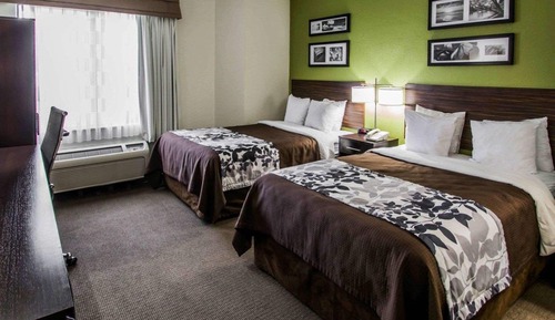 Standard Double Room, 2 Double Beds, Non Smoking