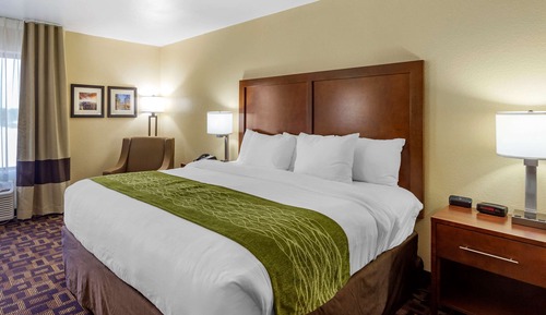 Suite, 1 King Bed with Sofa bed, Non Smoking