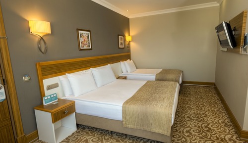 Family Triple Room, Multiple Beds