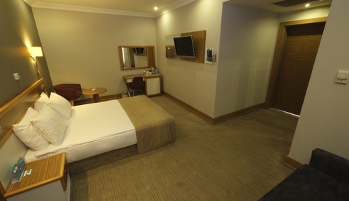 Standard Room, 1 King Bed with Sofa bed, Accessible