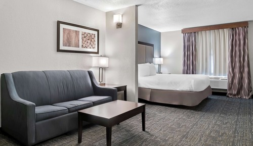 Standard Room, 1 King Bed, Non Smoking, Kitchenette (with Sofabed)