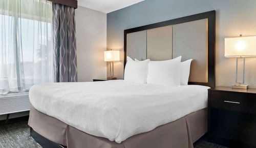 Suite, 1 King Bed, Non Smoking, Refrigerator & Microwave (with Sofabed)