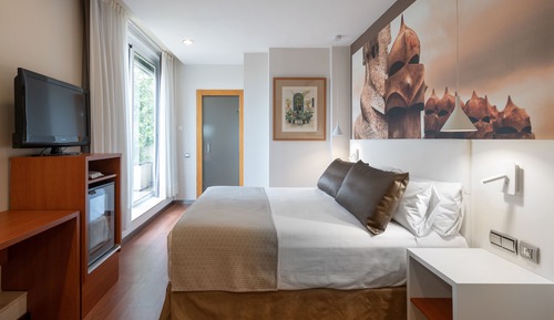 Superior Double Room Single Use, Terrace