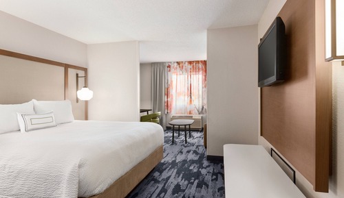 Room, 1 King Bed with Sofa bed
