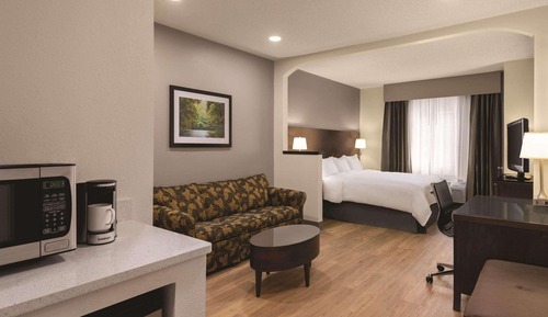 Room, 1 King Bed with Sofa bed, Non Smoking
