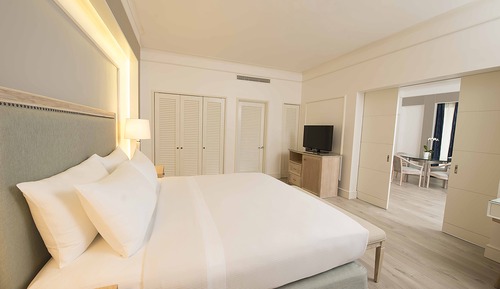 Suite, 1 King Bed