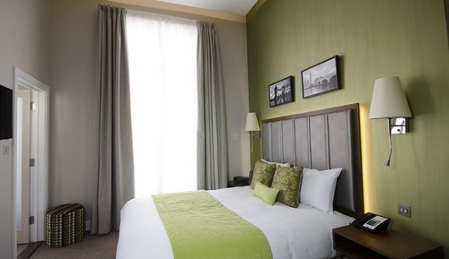 Standard Double Room 