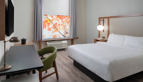 Standard Room, 1 King Bed (Mobility/Hearing Access, Roll-In Shwr)