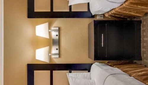 Suite, 2 Queen Beds, Non Smoking, Microwave (with Sofabed)