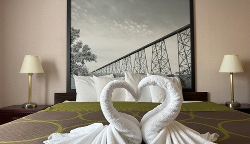 Room, 1 King Bed, Non Smoking