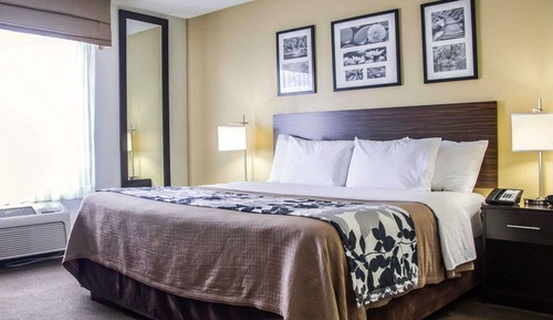 Standard Room, 1 Queen Bed, Non Smoking