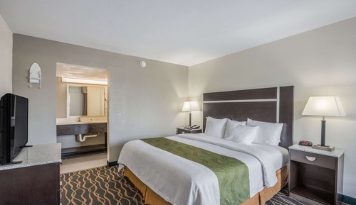 Room, 1 King Bed with Sofa bed, Non Smoking