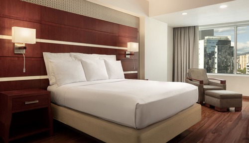 Executive Room, 1 King Bed