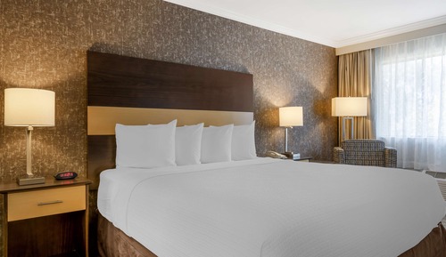 Standard Room, 1 King Bed, Non Smoking, Refrigerator