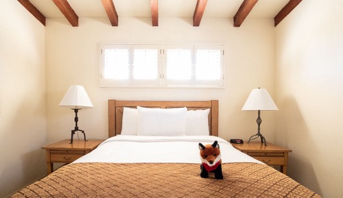 Suite, 1 Queen Bed (Tamarisk Casita - 1 Queen Bed with Pr)