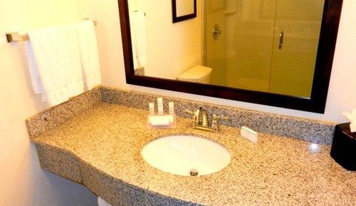 Room, 1 King Bed, Accessible