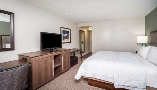 Room, 1 King Bed, Accessible, Non Smoking (Mobility & Hearing, Roll-in Shower)