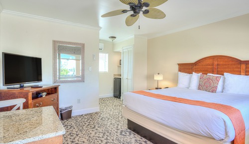Standard Room, 1 King Bed, Pool Area
