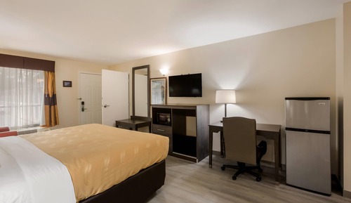 Suite, 1 King Bed with Sofa bed, Non Smoking