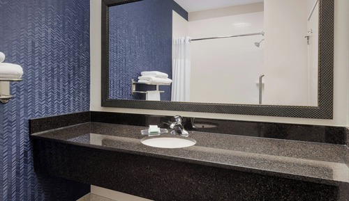 Room, 1 Queen Bed (Mobility Accessible, Roll-In Shower)