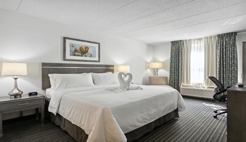 Standard Room, 1 King Bed, Accessible (Communications)