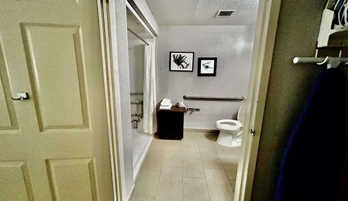 Room, 1 King Bed, Accessible, Non Smoking (Roll-in Shower)