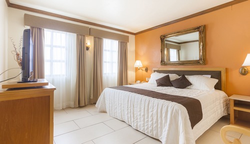 Executive Suite, 1 King Bed with Sofa bed