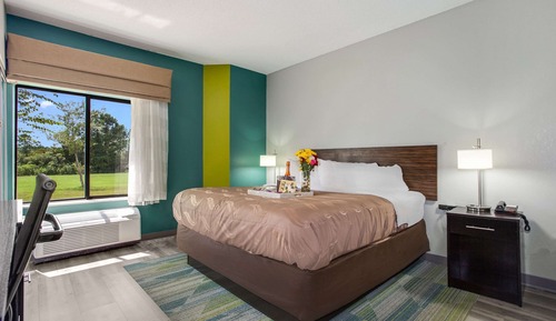 Room, 1 King Bed with Sofa bed, Accessible, Non Smoking