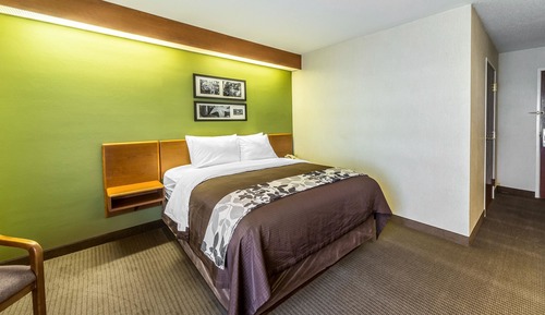 Suite, 1 King Bed with Sofa bed, Non Smoking