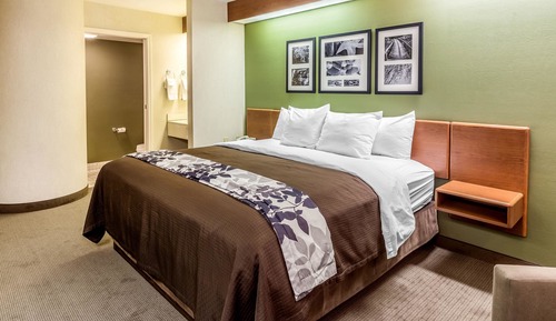 Standard Room, 1 King Bed, Non Smoking, Bay View