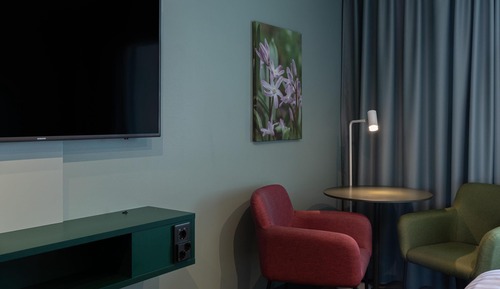 Superior Room (Plus, King)