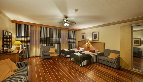 Family Room (Standard with twin bed)