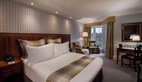 Eden King Room