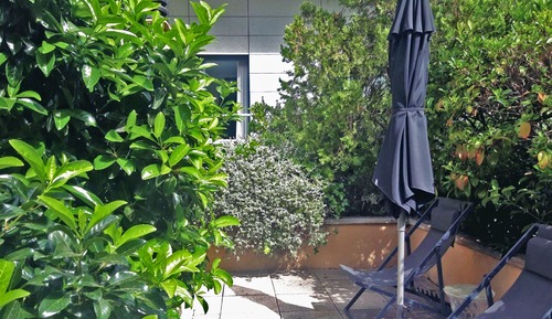 Deluxe Double Room, Terrace