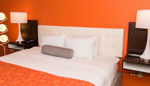 Room, 1 King Bed, Non Smoking