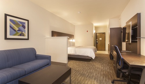 Suite, 1 King Bed (Bath/Shower Combo)