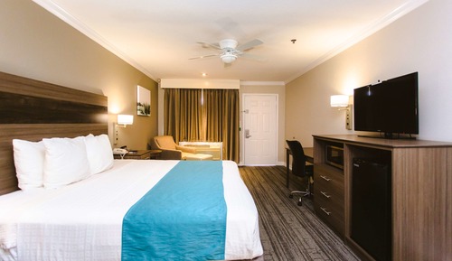 Standard Room, 1 King Bed, Non Smoking, Refrigerator & Microwave