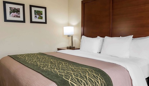 Room, 1 King Bed, Accessible, Non Smoking