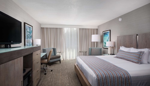 Standard Room, 1 Queen Bed, Non Smoking, Refrigerator & Microwave (Non Pet Friendly)