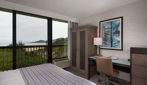 Standard Room, 1 King Bed, Bathtub (Non Pet Friendly)