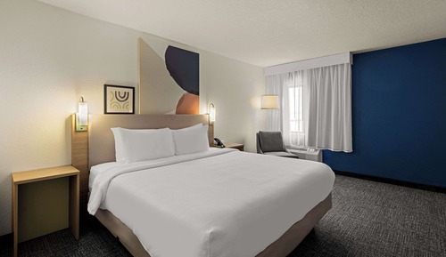 Room, 1 King Bed, Accessible, Bathtub (Mobility & Hearing)