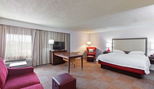 Room, 1 King Bed with Sofa bed, Non Smoking